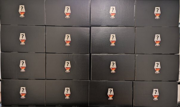 PXL_20251103_130913285